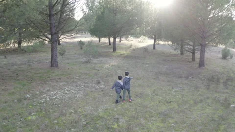 Two small children walk alone through the forest Stock Footage 148531750