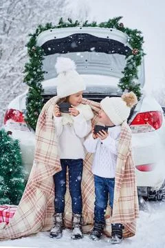 Two small children in the winter forest Stock Photos
