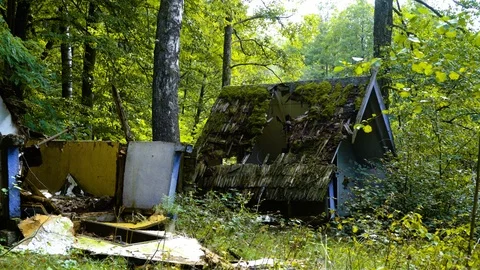 Two small cottages in the forest Video stock 94432490