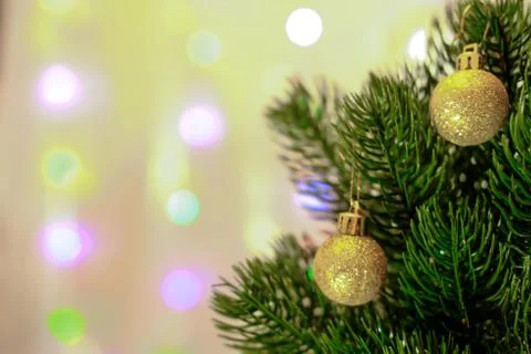 Two small cristmas-tree balls with golden glitter hang on needles of lush gre Stock Photos