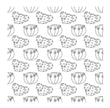 Two small cute cacti with flowers and shoots in doodle style, arranged in Stock Illustration