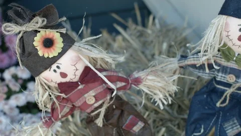  Two small decorative scarecrows. Close-up panning shot.   Stock Footage 81561363
