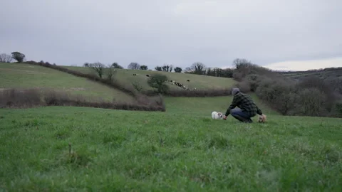 Two small dogs running to their owner in a field Stock Footage 340547718