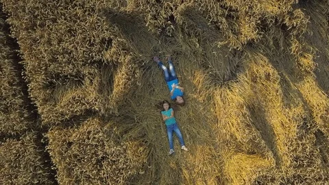 Two small girls are lying in a wheat field. top view, shooting from a copter. Stock Footage 125601938