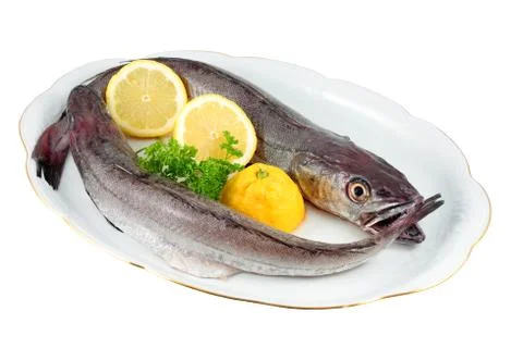 Two small hakes 写真素材