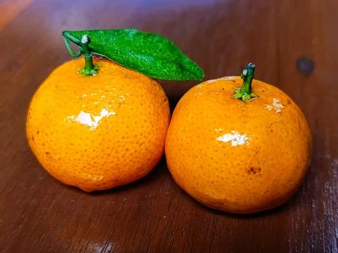 Two Small Mandarin Oranges with Leaf on Wooden Table Fresh Mini Tangerines Fotos de archivo