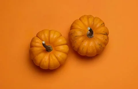 Two small orange pumpkins on orange background Stock Photos