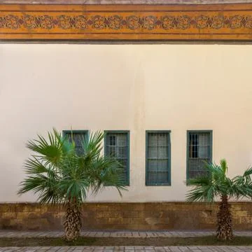 Two small palm trees, beige wall with orange colorful floral cornice and green Stock Photos