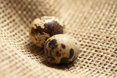 Two small quail eggs on a background of jute burlap fabric Foto stock