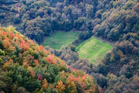 Two small rectangular meadows between forests in Cervantes Ancares Lugo Galic Stock Photos