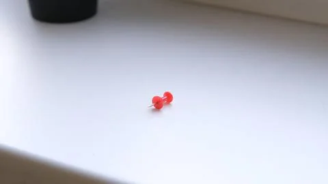 Two small red beetles on a clean white tabletop with soft focus background Stock Photos