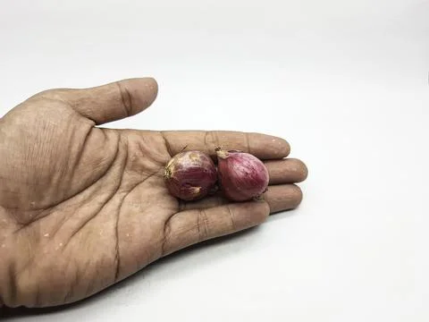 Two small red onions resting on a person's open palm against white Stock Photos