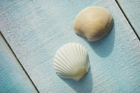 Two small seashells on light blue deck Stock Photos