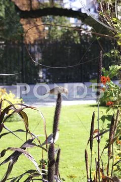 Two small sparrows feeding Stock Photos
