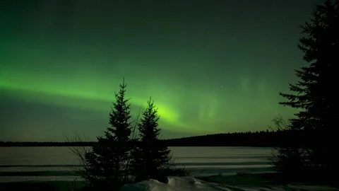 Two small spruce trees are silhouettes against a sky filled with active flashing Stock Footage 149980892