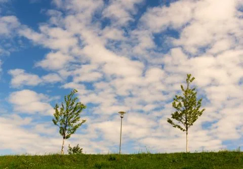 Two small trees and a lamp below a cloudy summer sky Stock Photos