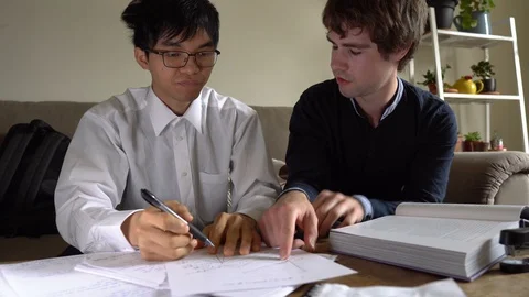 Two Smart Diligent University Student Friends Studying For Exam Together Stock Footage 121198516