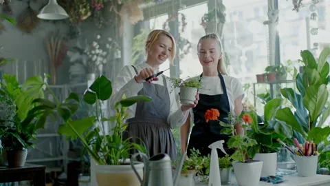 Two Smiling Florists Communicate and Pruns Plants. 库存影片 135738316