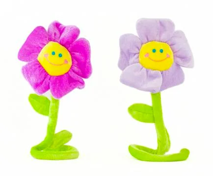Two smiling flowers 2 Stock Photos