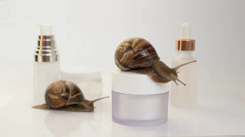 Two snails crawling on a jar of cream Stock-Footage 115841629