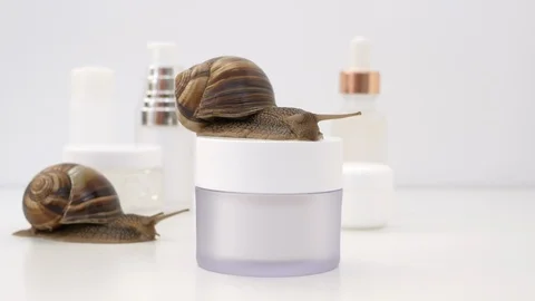 Two snails crawling on a jar of cream Stock Footage 119901604