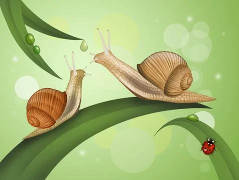 Two snails on the leaves Stock Illustration