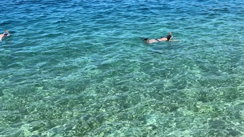 Two snorkelers exploring the remarkably clear turquoise waters of the Video stock 316309210