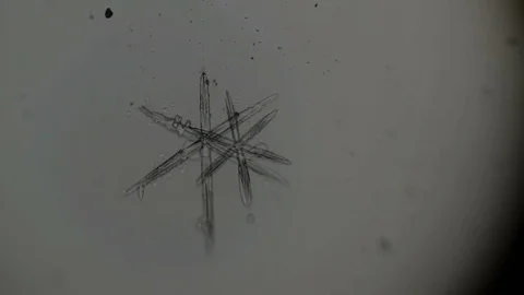 Two snowflakes form a drop of water Stock Footage 72787057