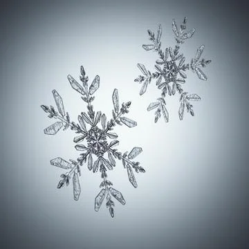 Two snowflakes Иллюстрация