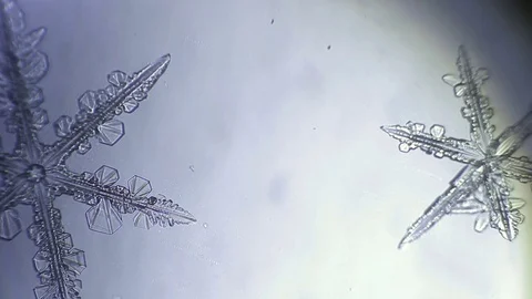 Two snowflakes melts into glass Stock Footage 72205351