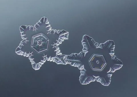 Two snowflakes on smooth gradient background. Macro photo of real snow crystal 스톡 사진