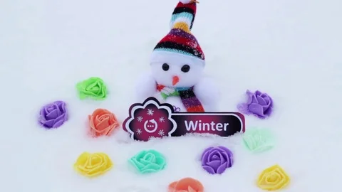 Two snowmen and flowers Stock Footage 70574506