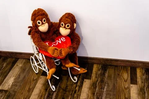 Two soft toy monkeys sit arm in arm in a small car, holding a fabric heart in Stock Photos