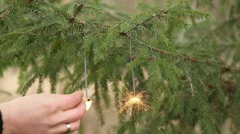 Two sparklers gets burnt in christmas tree Stock Footage 44220768