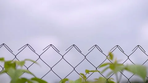 Two sparrows sit on a fence against the background of clouds. Mapa Sparrow fe Stock-Footage 136049517