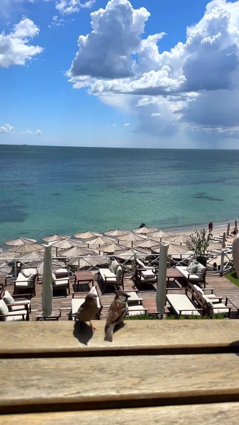 Two sparrows sitting on a wooden railing overlooking a luxury beach club Stock Footage 335892570