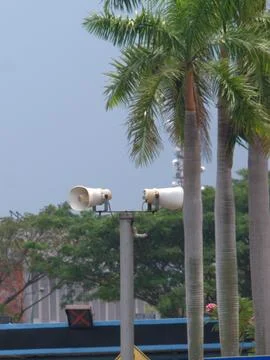 Two speaker cones between the palm Stock Photos