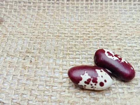 Two speckled beans on burlap background Stock Photos