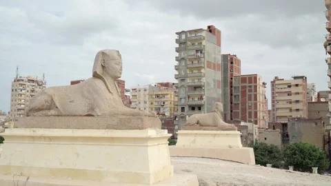 Two sphinxes found in the Serapeum temple. Stock Footage 241164867