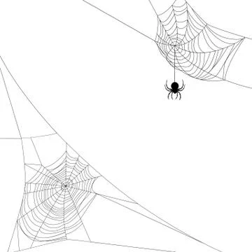 Two spider webs Stock Illustration