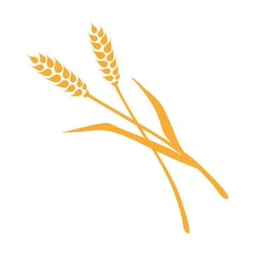 Two spikelets flat logo isolated on white background - vector illustration Stock Illustration