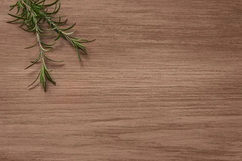 Two sprigs of rosemary Foto stock