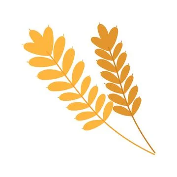 Two sprigs of wheat on white background for web design Stock Illustration