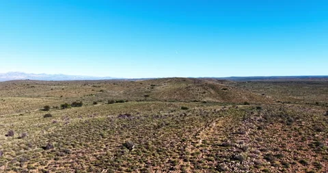 Two Springbok Roaming the Semi-Arid Karoo Plains Stock-Footage 341517582
