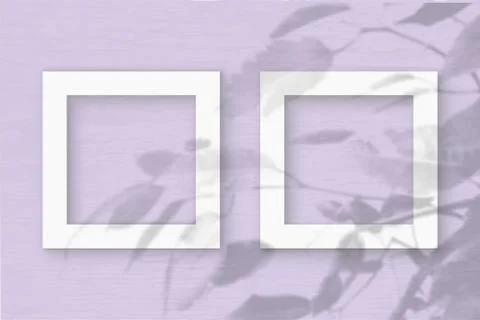 Two square sheet of white textured paper on the lilac wall background. Mockup Stock Illustration