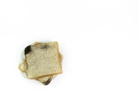 Two square slices of bread placed on a fungal infection plate, on isolated .. Stock Photos