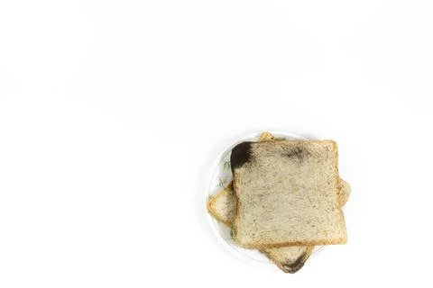 Two square slices of bread placed on a fungal infection plate, on isolated .. Stock Photos