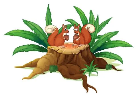 Two squirrels above the stump Illustrazione stock
