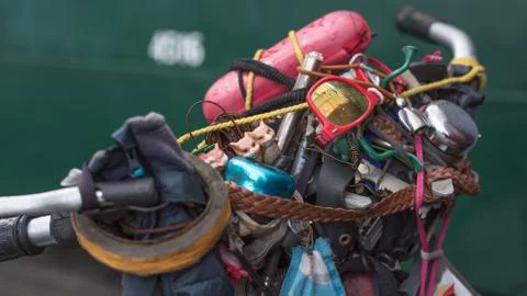 Two squirrels are looking over the bicycle handlebar Foto stock