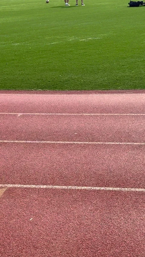 Two squirrels chasing each other at John V. Lindsay East River Park in NYC 스톡 동영상 342780188